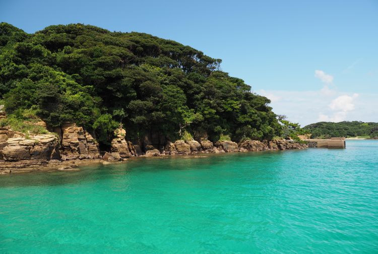 Iki Island Dolphin Park offers a unique and interactive experience with dolphins.