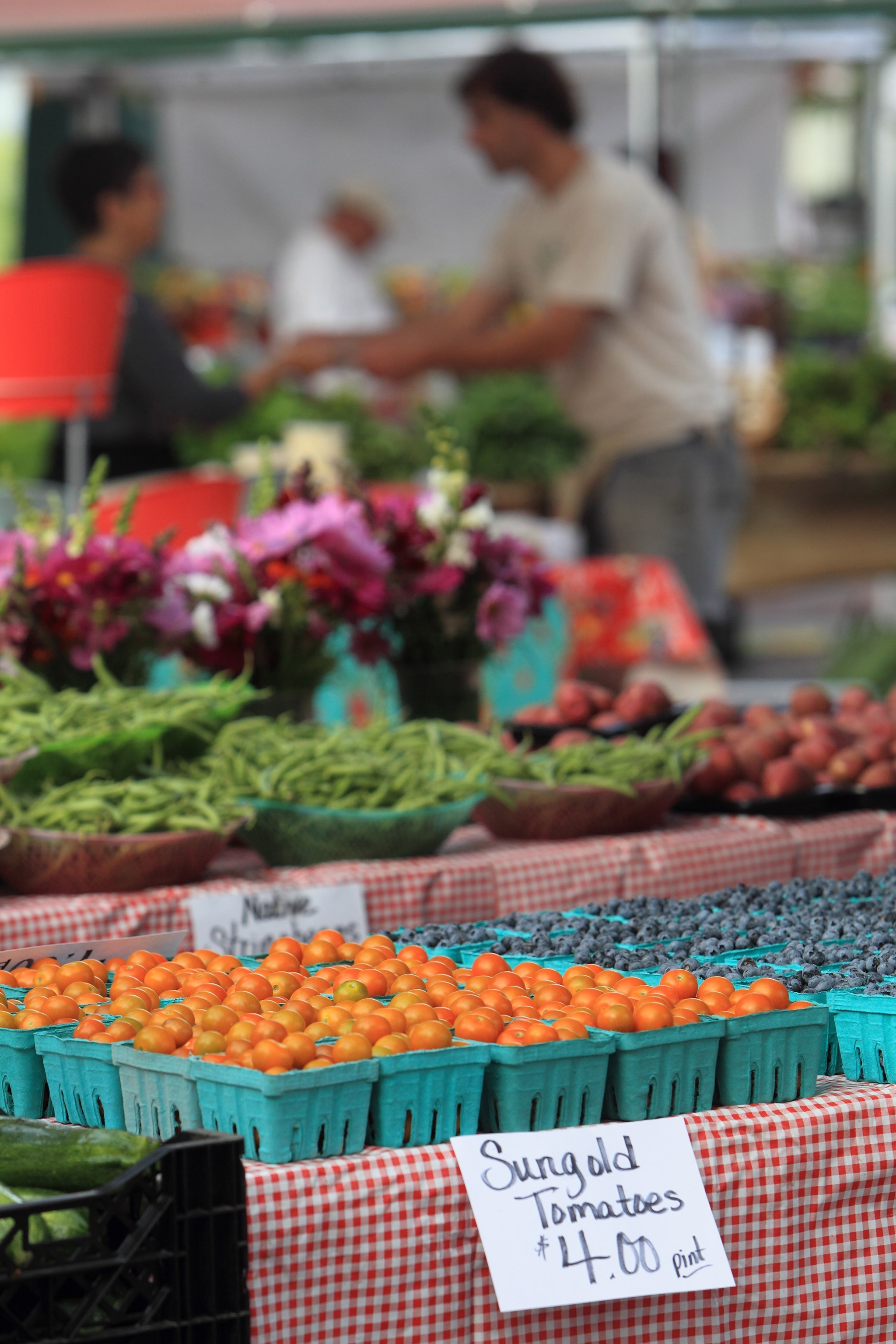 Colorful organically farmed fruit, vegetables and flowers displayed for sale at the Maine Organic Farmers