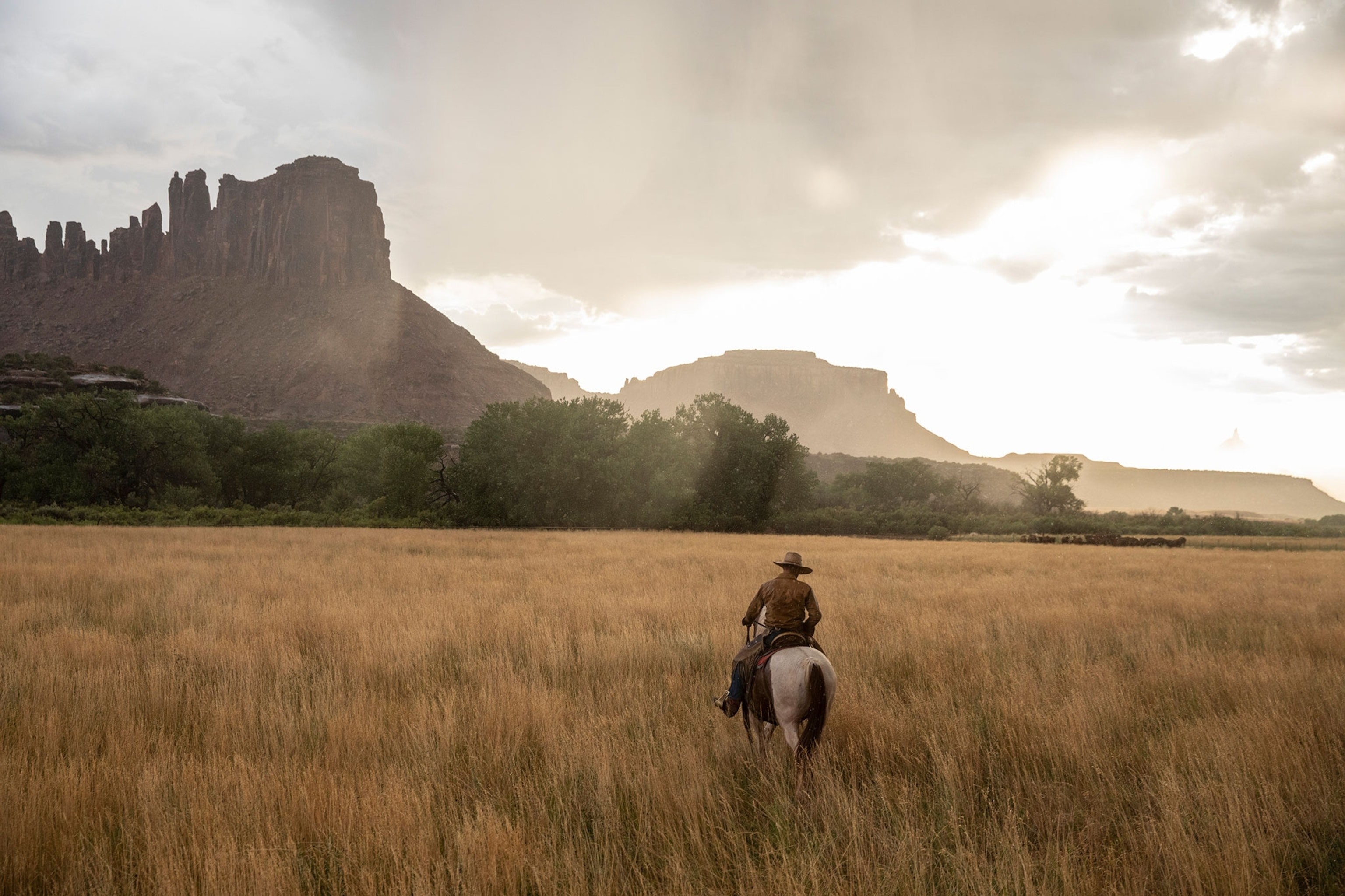 A cowboy rides his horse over the grasslands. Mountains and trees are seen in the distance.