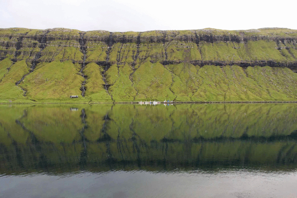 nature-fullsizerender_large