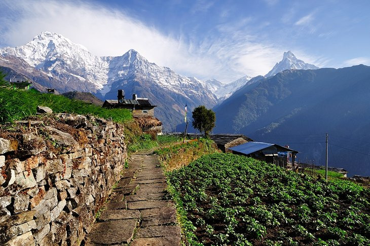 Trekking in the Annapurna Region: Experience the diverse landscapes and cultures of the Himalayas on this classic trek