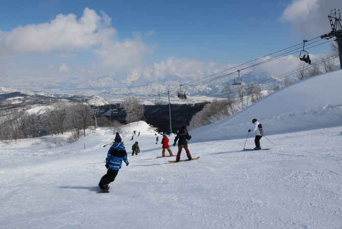 Hakuba Ski Resort amidst snow-covered trees