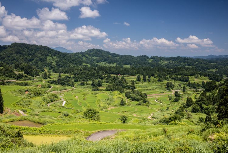 Hoshitoge Rice Terraces in Niigata, Japan
