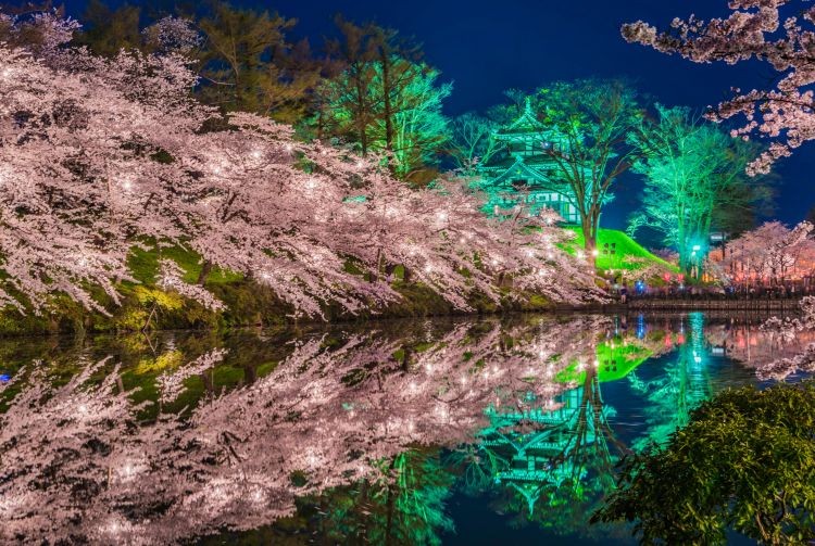 Night view of Takada Castle Site Park in Niigata during April