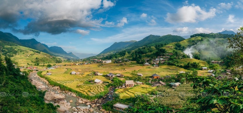 Sapa with golden rice fields