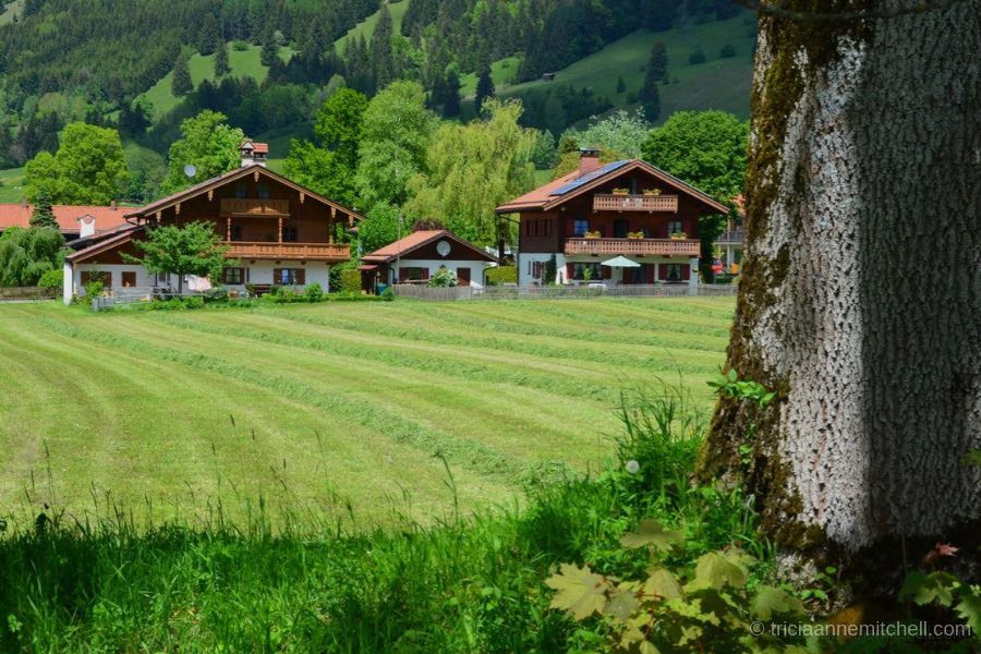 Two chalet-style houses (with wooden balconies) overlook a green meadow. They are framed by a tree trunk and hilly terrain.