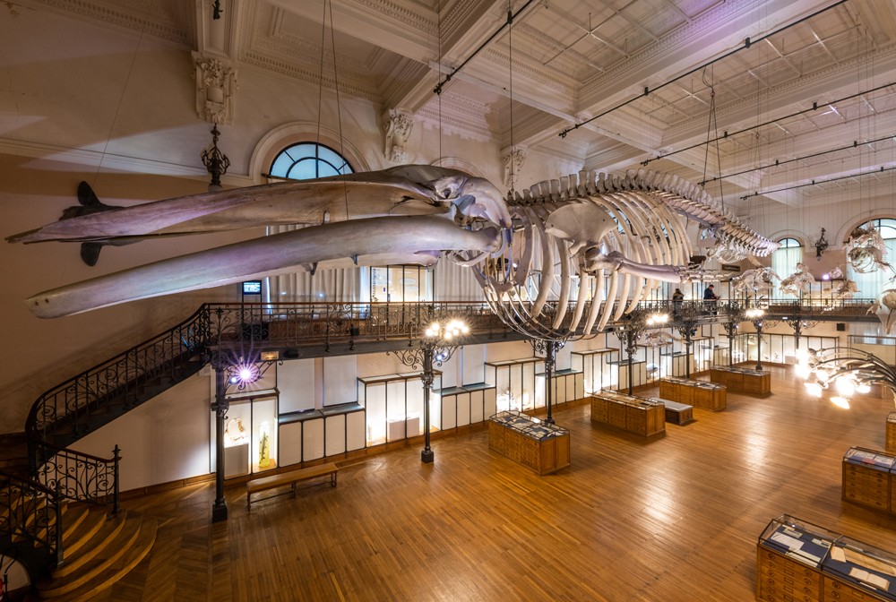 The Oceanographic Museum's beautiful displays of sea fauna