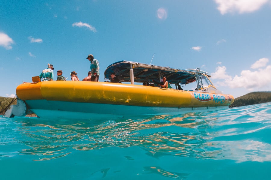 One of the exciting tours you can do in Whitsunday is Ocean Rafting Tour.