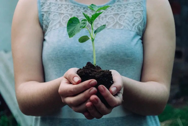 Woman planting flowers in a garden while volunteering abroad
