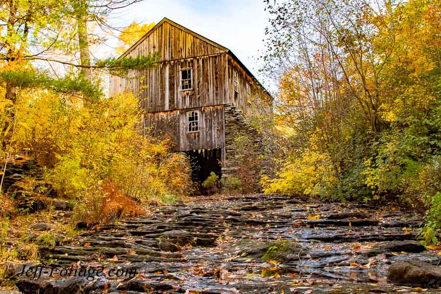 Newfound Gap Road Great Smoky Mountains Fall Foliage