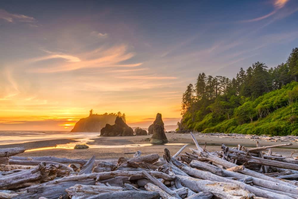 Olympic National Park Natural Splendor