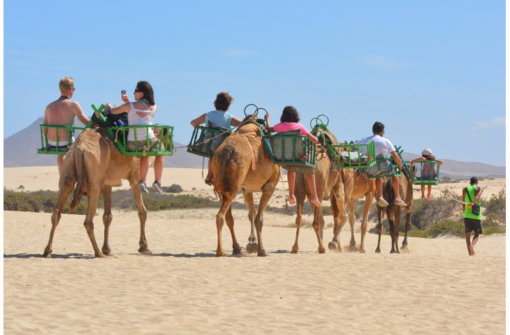 Organize a Group Trip