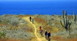 Mountain Bikers In Los Cabos