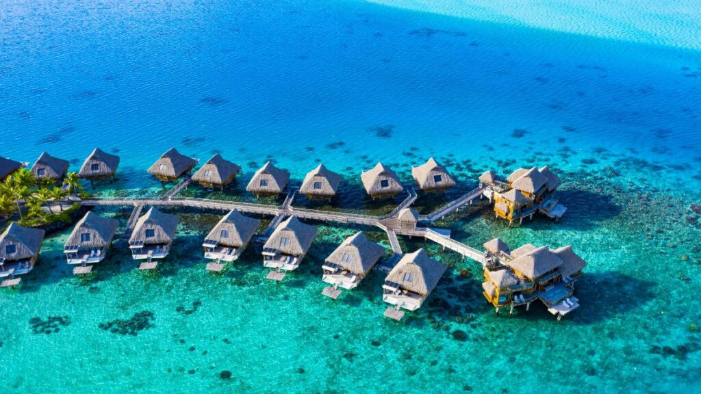 Growth in Ecolodges