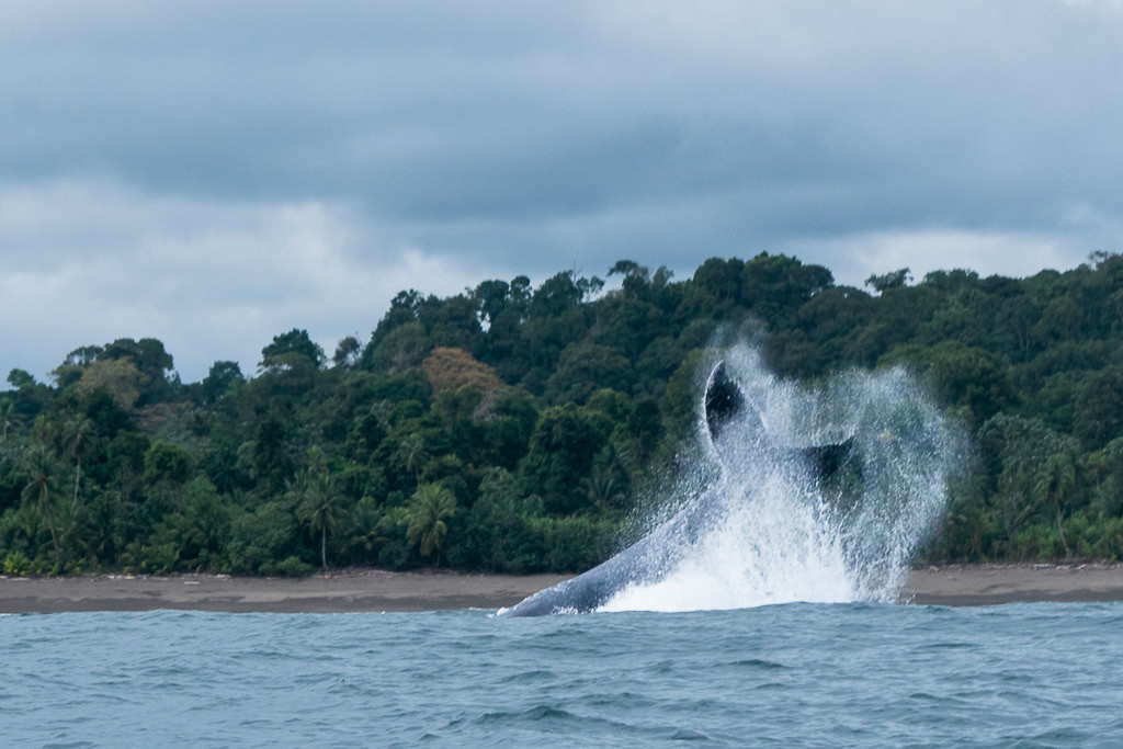 Colombia's Pacific Coast