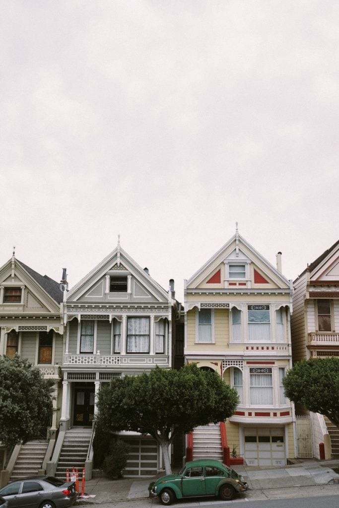 PaintedLadies
