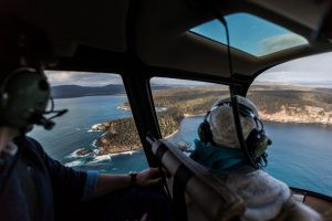 Par Avion Helicopters - Bruny Island Hopper tour - Tasmania, Australia