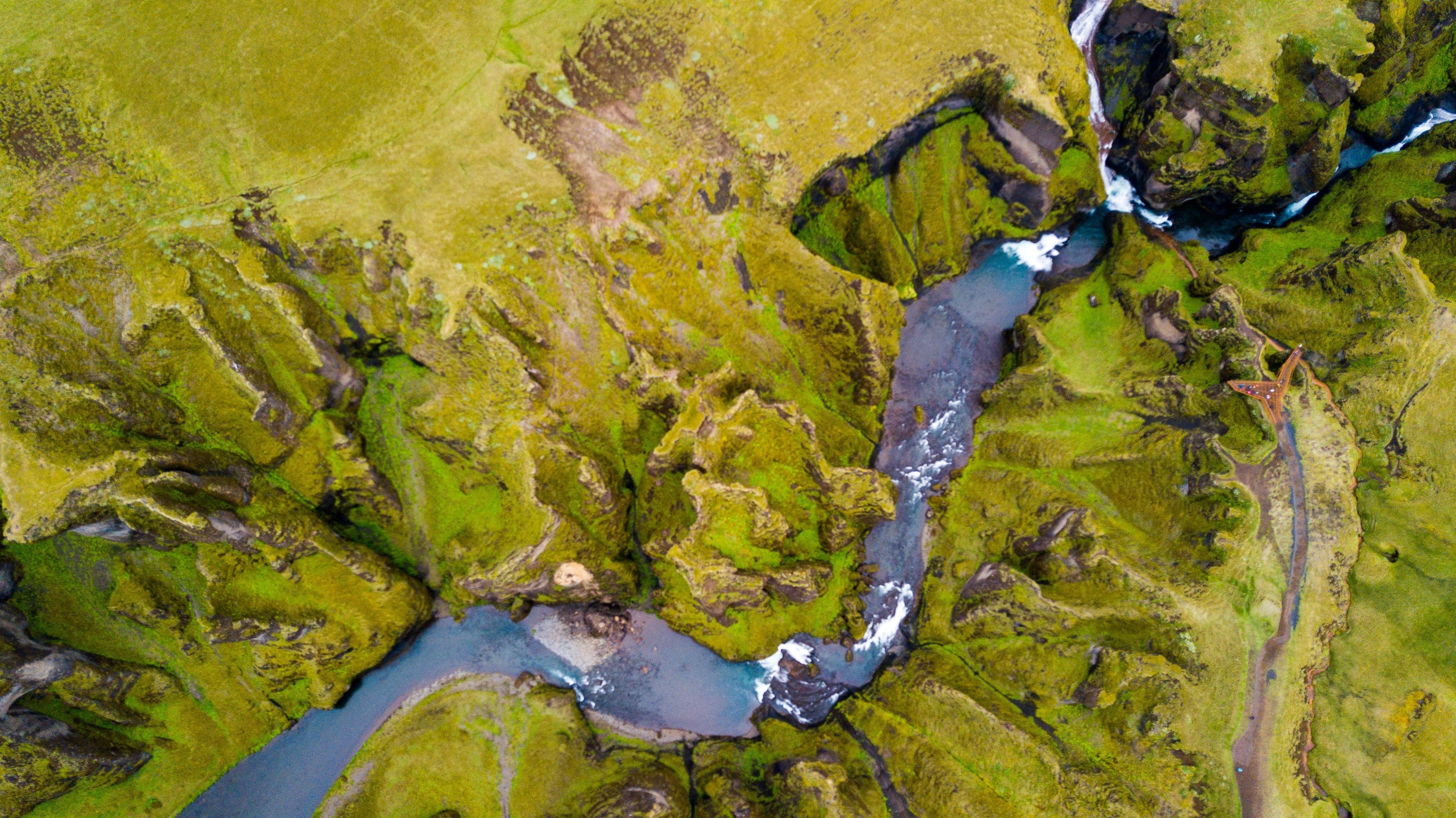 an aerial view of the coastal lake in an old growth forest