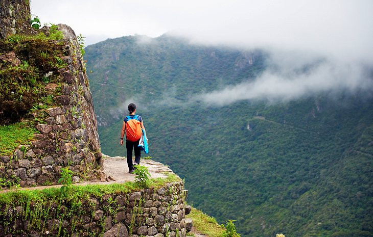 Inca Trail - Winding path through lush mountains