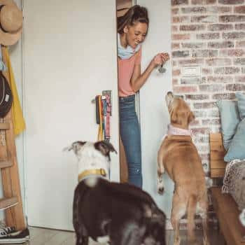 Image of a pet sitter entering a house to be greeted by two excited dogs, representing home-based pet care