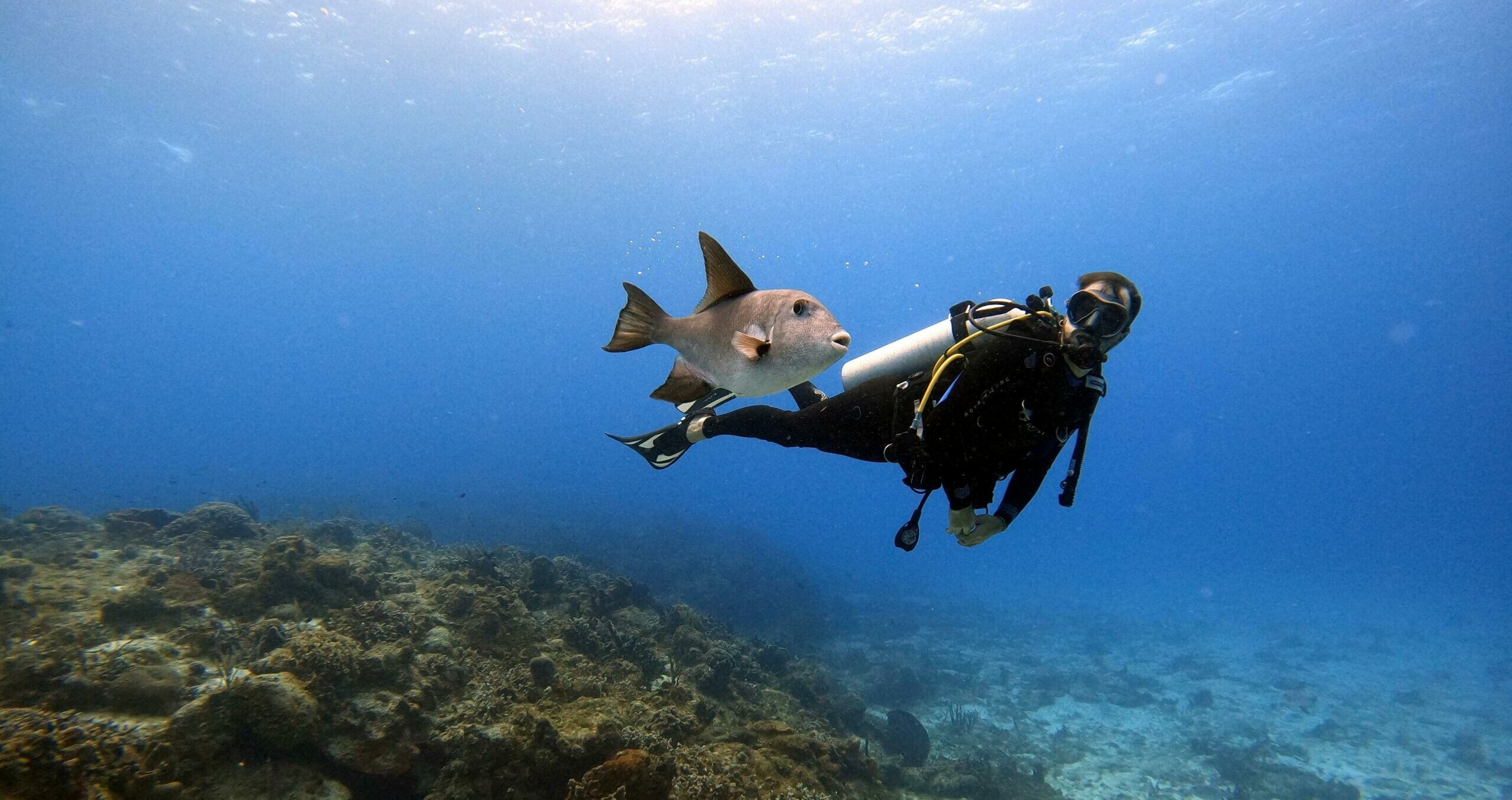 Scuba diving in Chidiya Tapu showcases the diverse underwater marine life in the Andaman Islands.