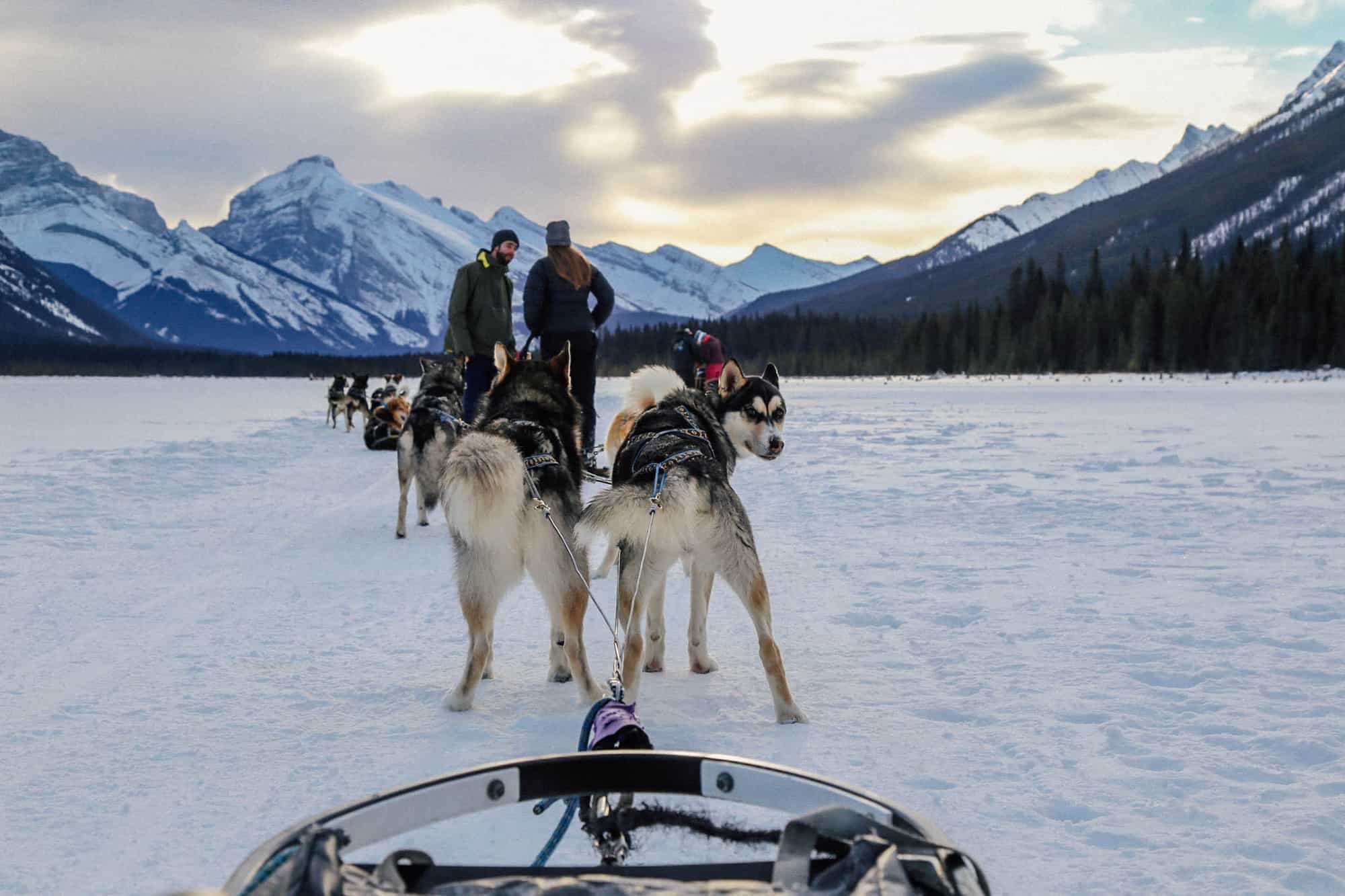 Taking a break on the frozen pond.