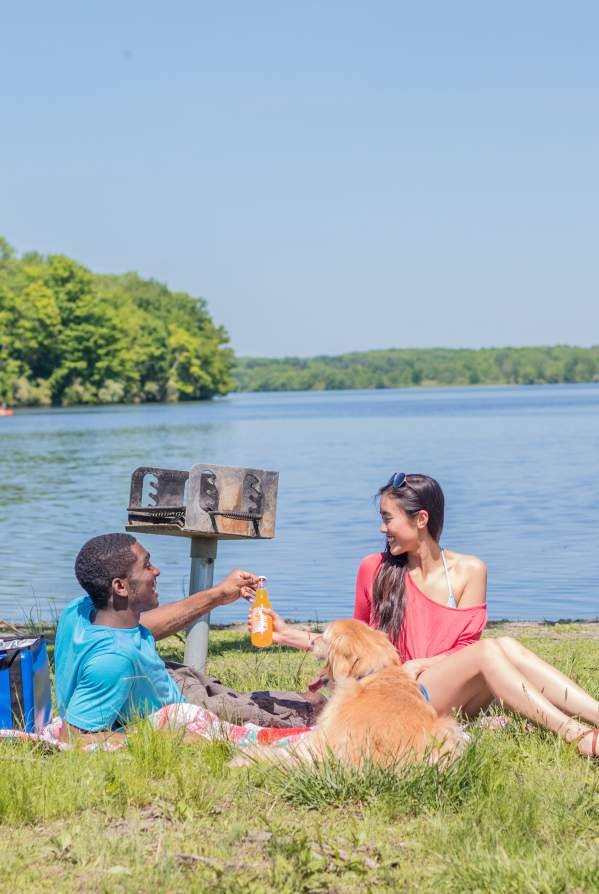 Best Dog-Friendly Hikes &amp; Parks in Bucks County, PA â€“ Plus Helpful Tips