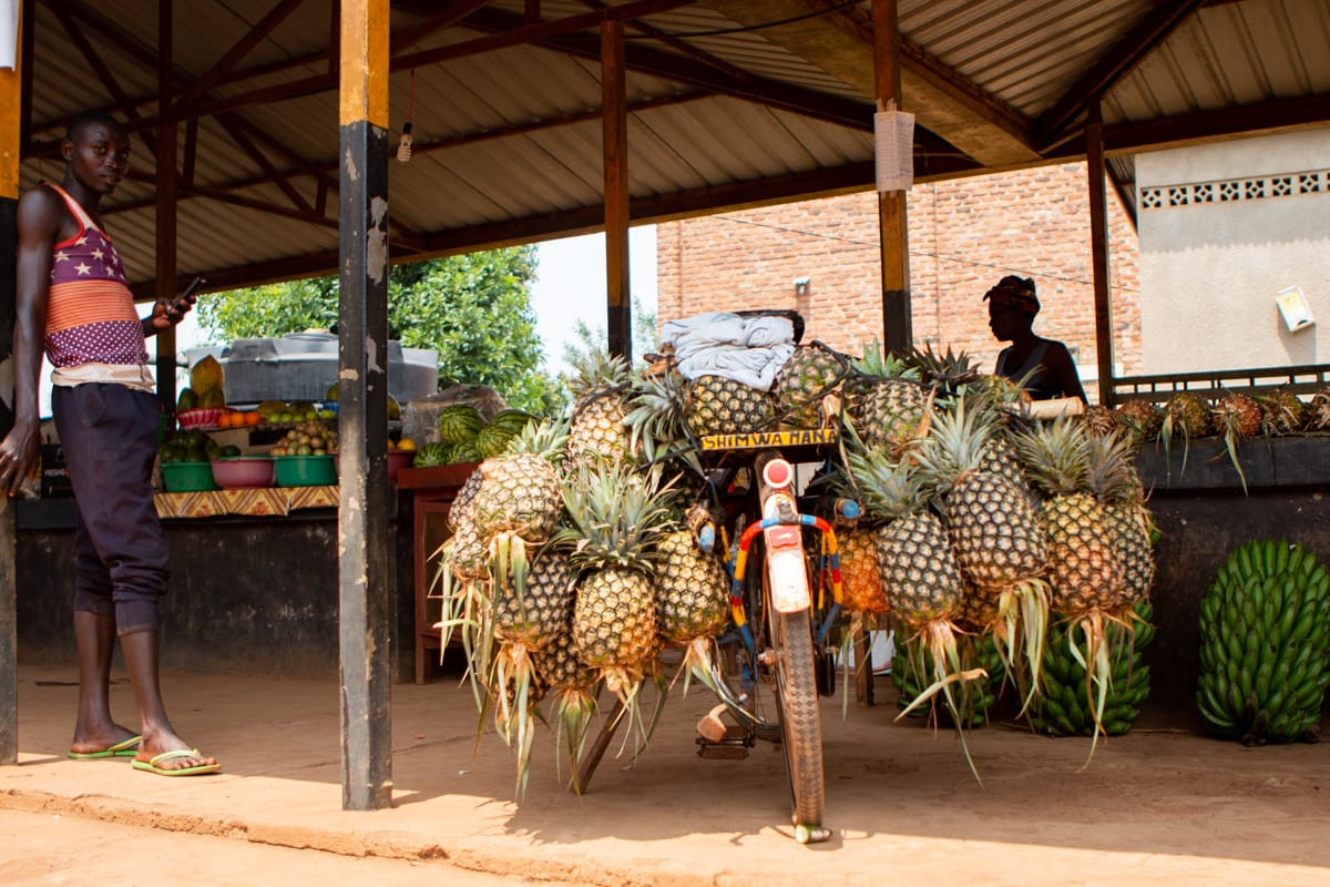 Pineapple delivery at a roadside produce market