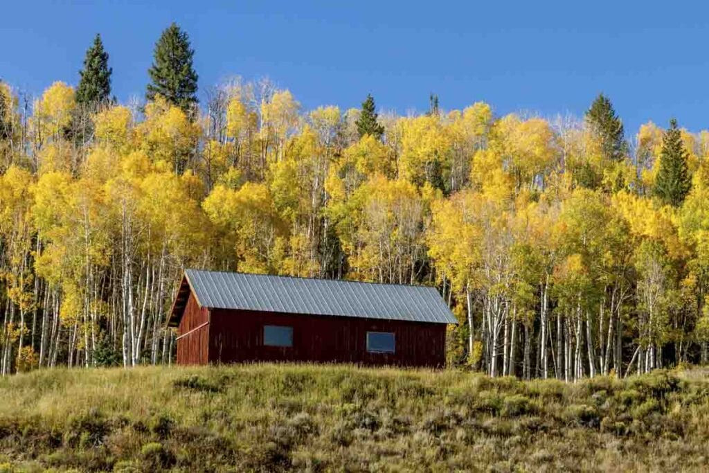 A small red cabin with a tin roof sits in a grassy meadow, surrounded by a dense forest of aspen trees with vibrant yellow autumn leaves. The sky is clear and blue, contrasting with the bright foliage. In the background, a few evergreens add greenery to this picturesque spot among places to visit in the fall, illustrating the serene beauty of nature