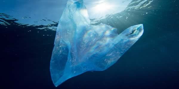 Plastic bag in the sea