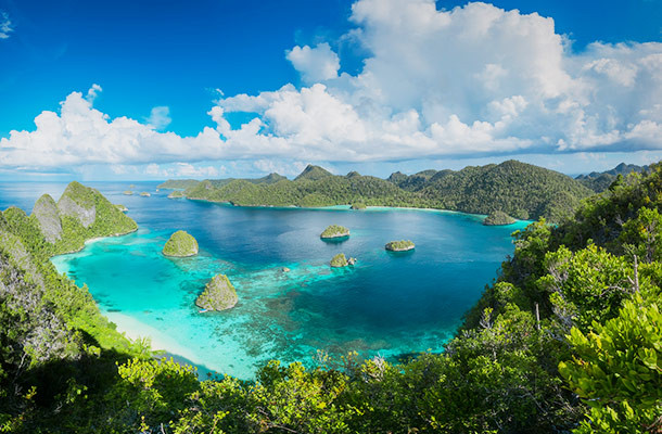 Papua New Guinea