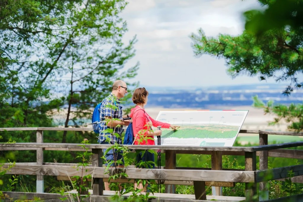 Parc de Champagne in Reims, France, offers a verdant escape with walking paths, picnic spots, and recreational spaces, ideal for families and nature enthusiasts seeking relaxation and outdoor activities.