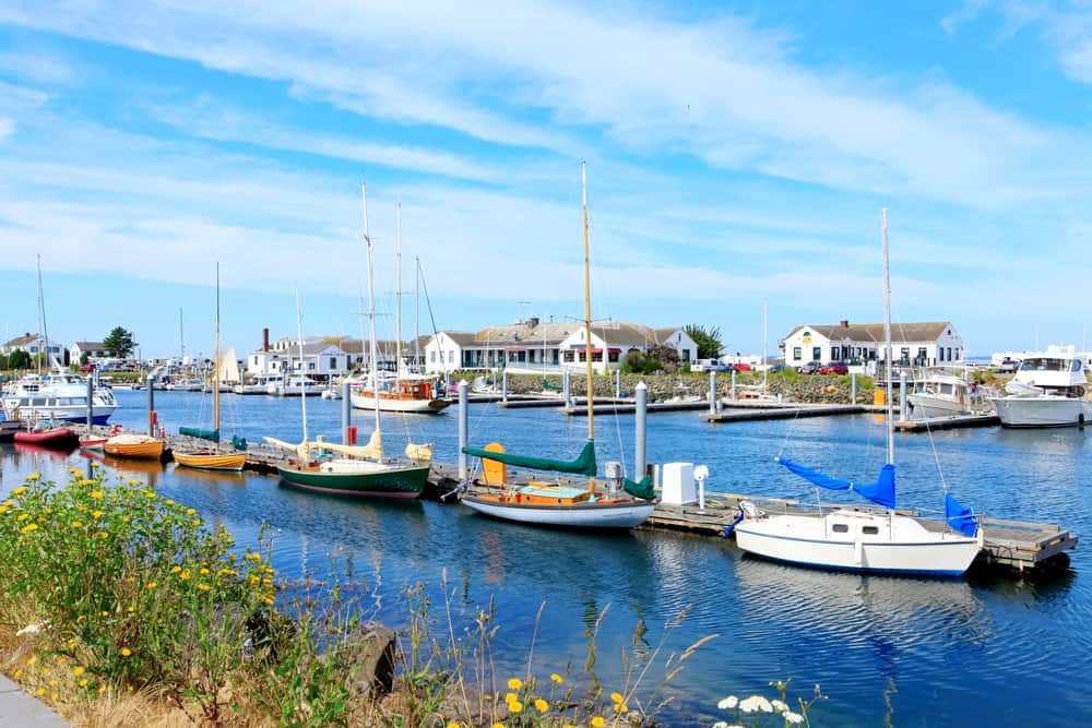 Port Townsend Harbor View