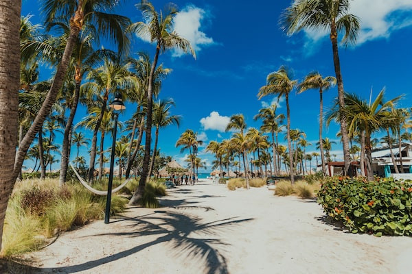 Palm Beach hotels in Aruba