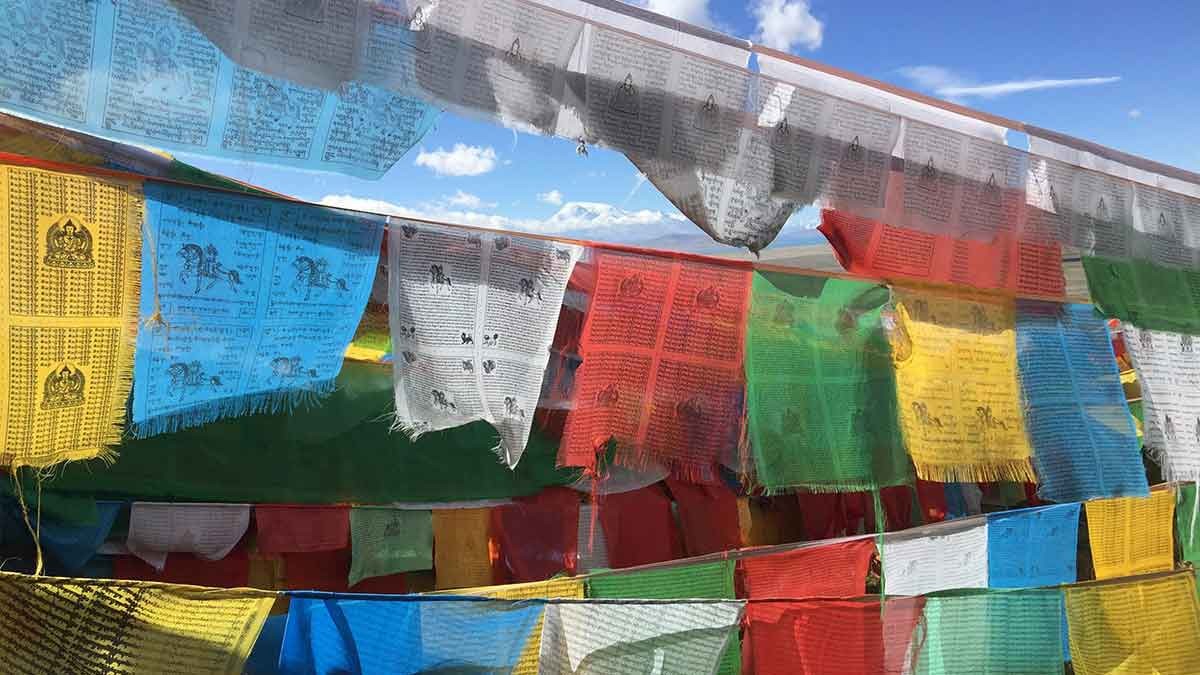 Trip to Kailash: Prayer Flags in the Foothills of Mt Kailash