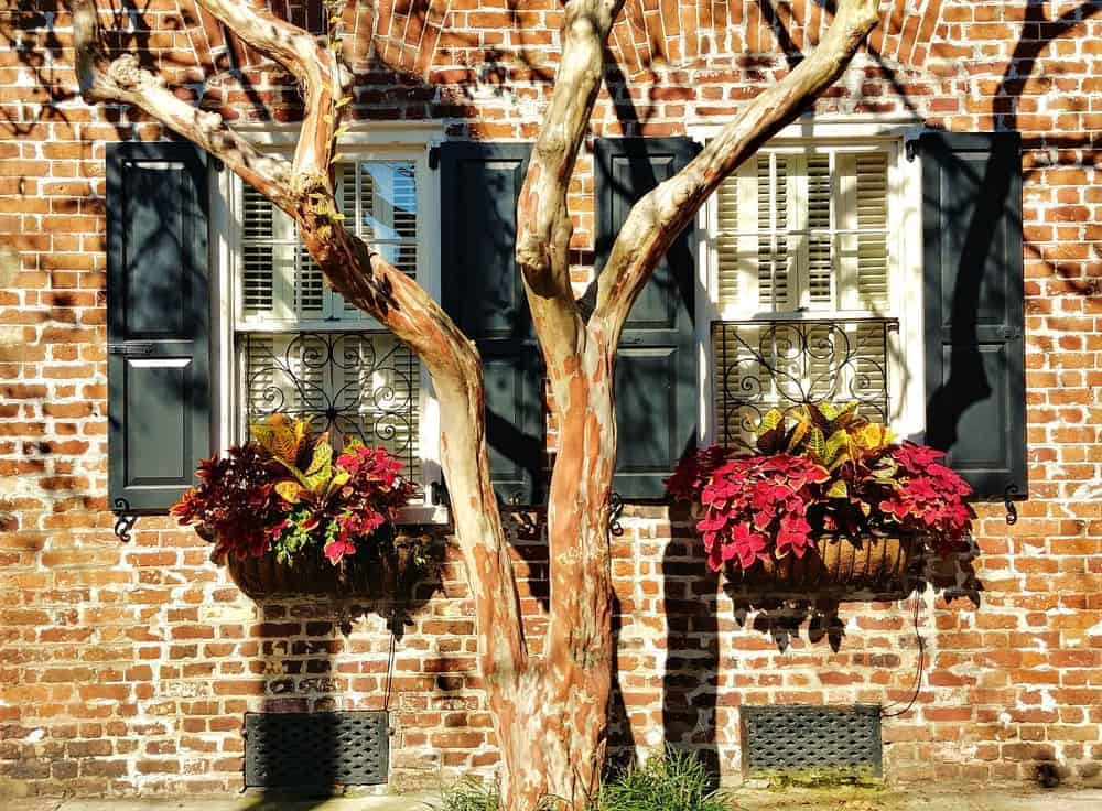 Pretty house in Charleston, South Carolina