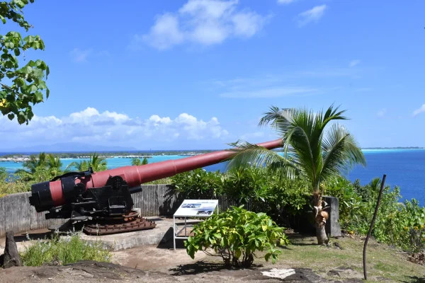 Profile of a military cannon on the haamaire site in bora bora association mémoire polynésienne