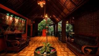 Thekkady Wildlife Alt Text: A serene lake reflecting the lush greenery of Periyar National Park in Thekkady, Kerala, showcasing the tranquil beauty and wildlife-rich environment.