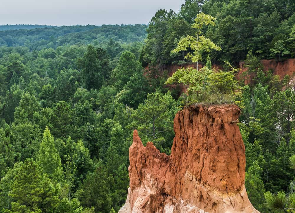 Detailed view of the geological layers at Providence Canyon