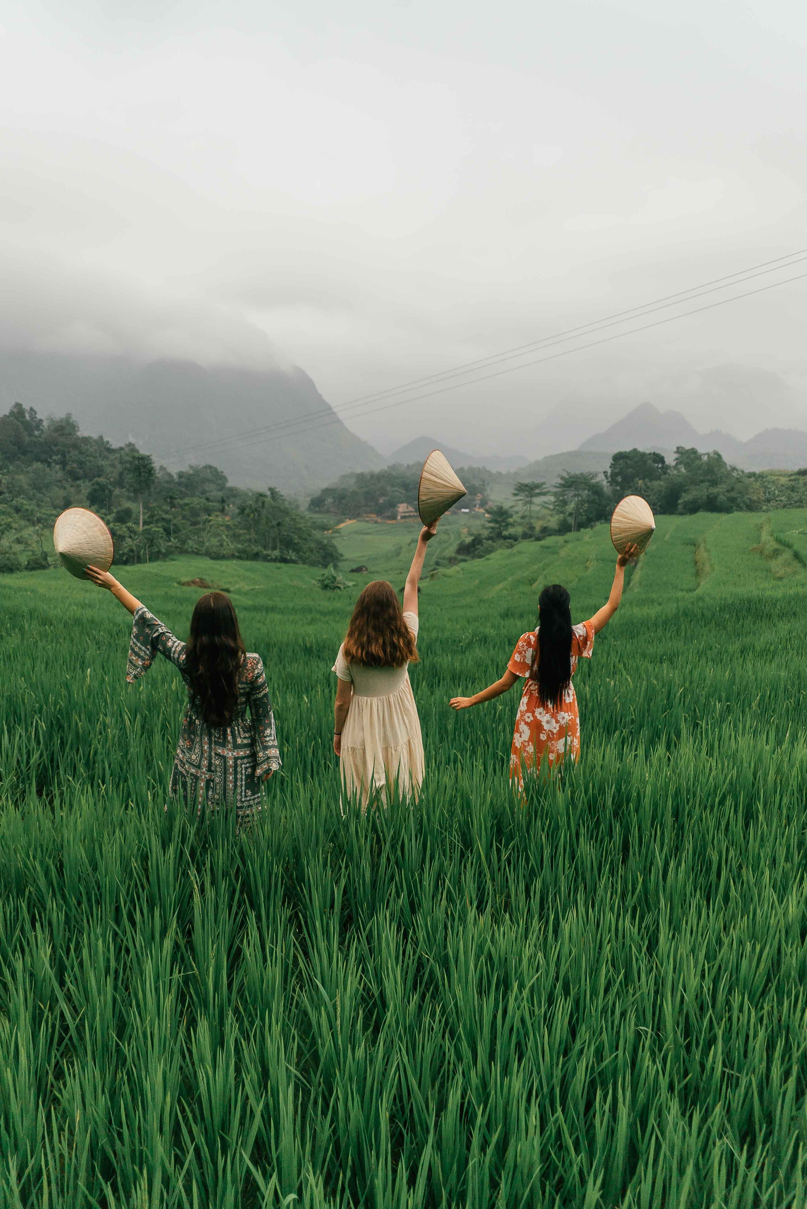 Rice terraces at Pu Luong Retreat, Vietnam