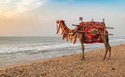 Puri, Orissa - Rath Yatra and the Beaches