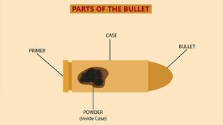 Close-up of various bullet types illustrating the differences in shape and composition.