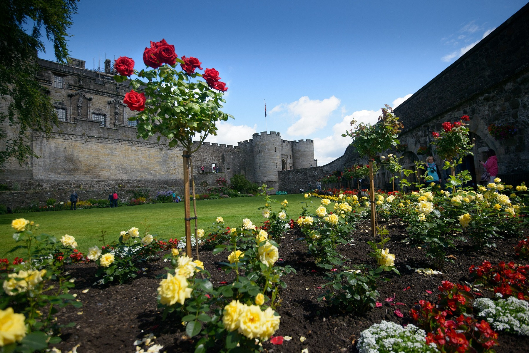 Queen Anne Gardens