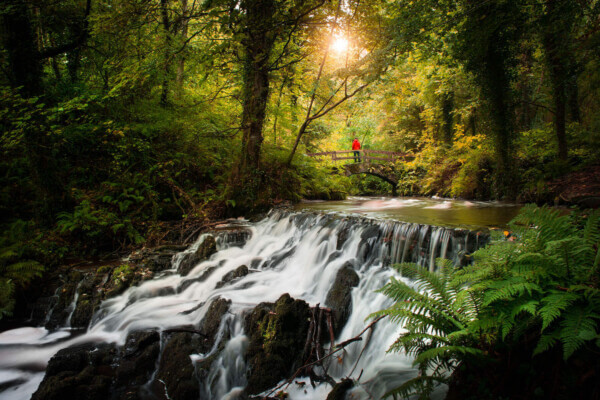 water flowing down rocks Cavan: Ireland