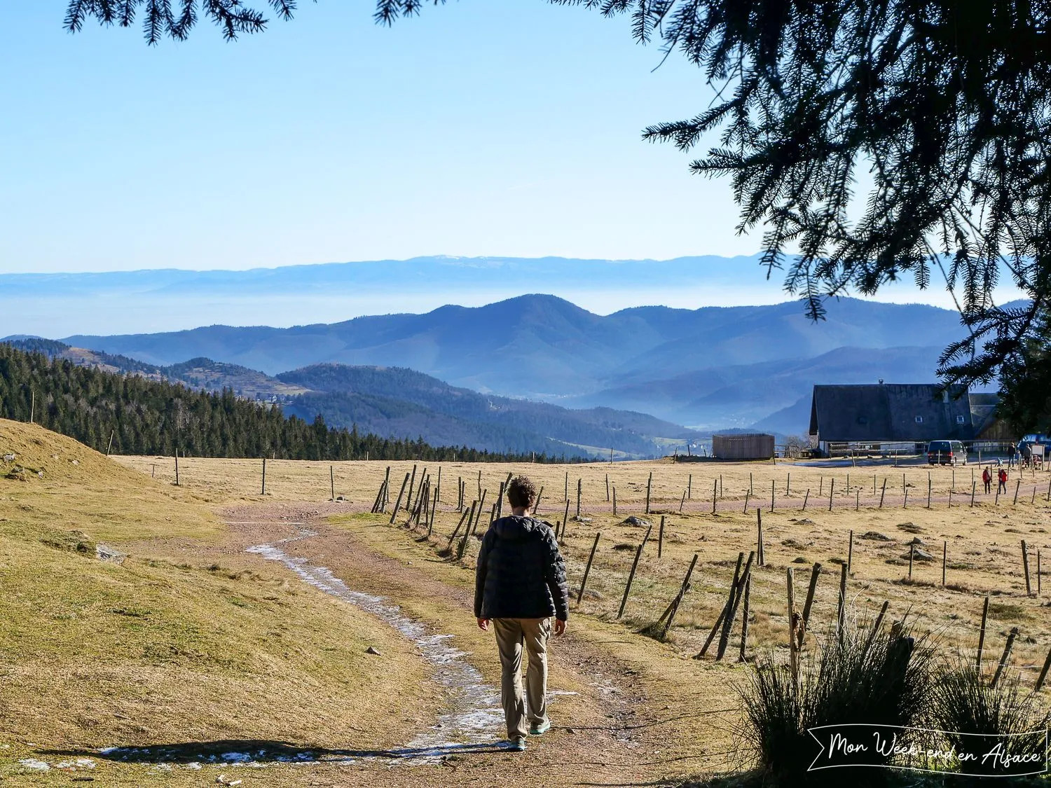 Hiking trail in the Munster Valley, Vosges Mountains