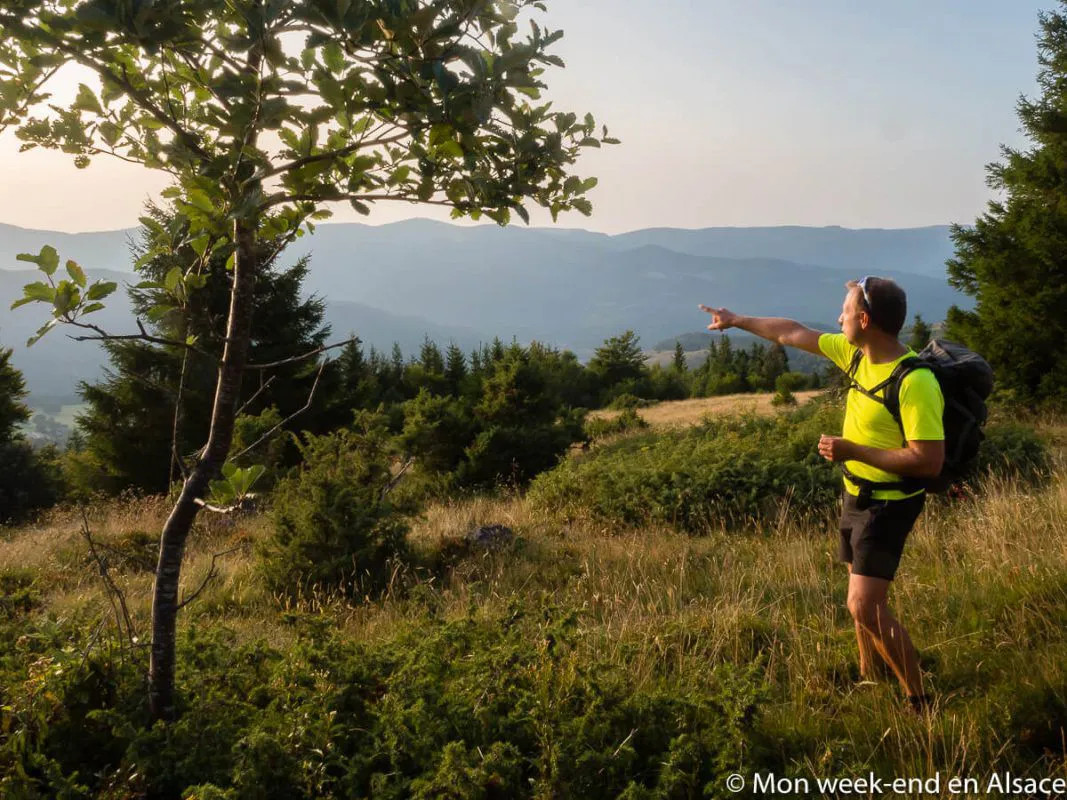 Hiking in the Vosges Mountains, Alsace, France