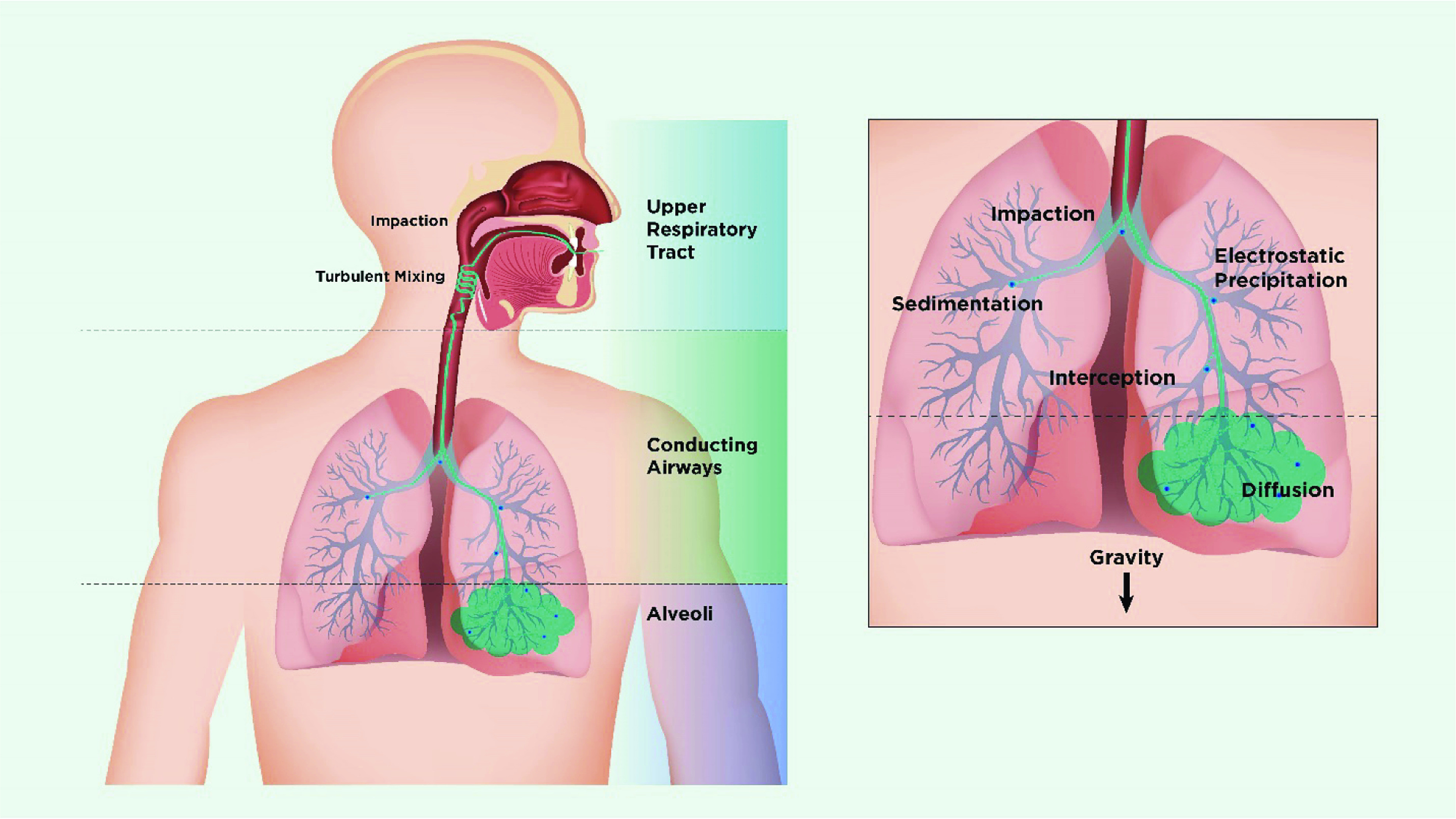 Aerosol generation