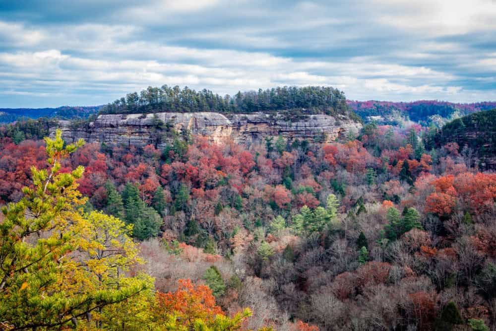 Scenic Overlook at Red River Gorge