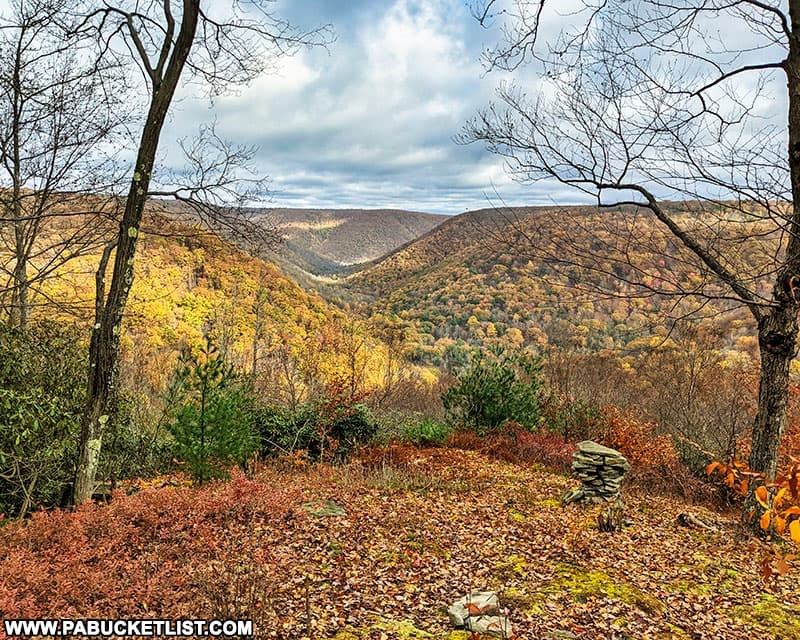 Hikers on a trail in Elk County, PA, surrounded by lush green forests and a clear blue sky, showcasing the scenic hiking opportunities available in the region.
