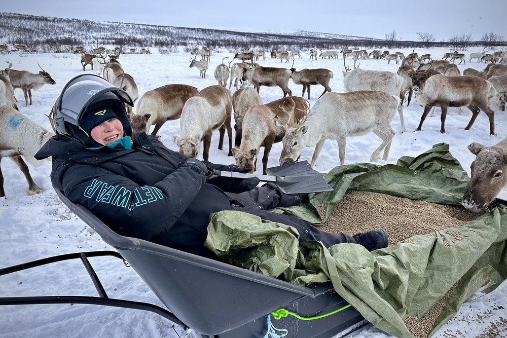 Traveler feeding reindeer in Norway, showcasing the Sami cultural experiences